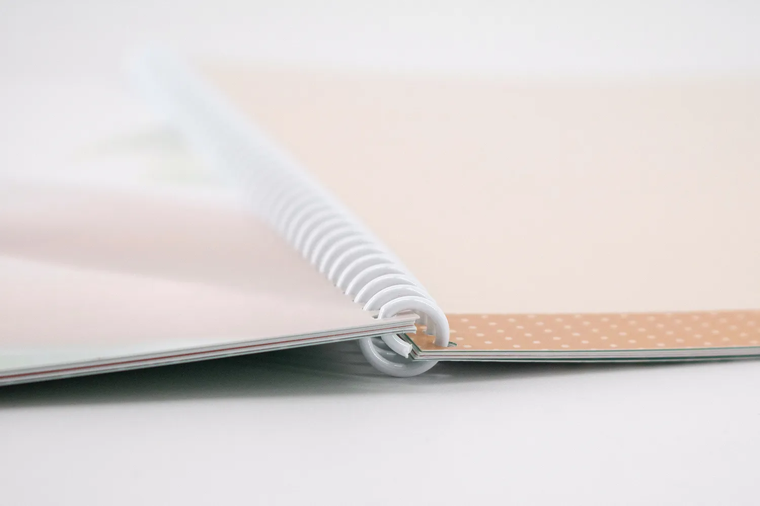 Libro de Firmas Verde